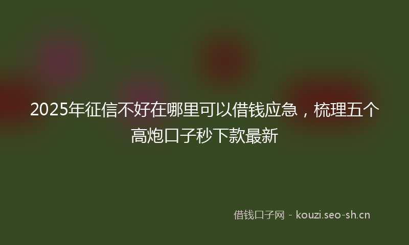 2025年征信不好在哪里可以借钱应急，梳理五个高炮口子秒下款最新