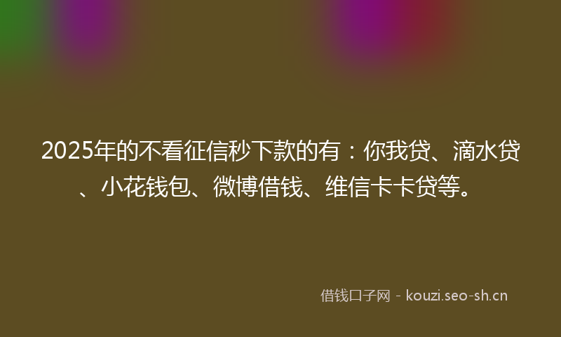 2025年的不看征信秒下款的有:你我贷、滴水贷、小花钱包、微博借钱、维信卡卡贷等。
