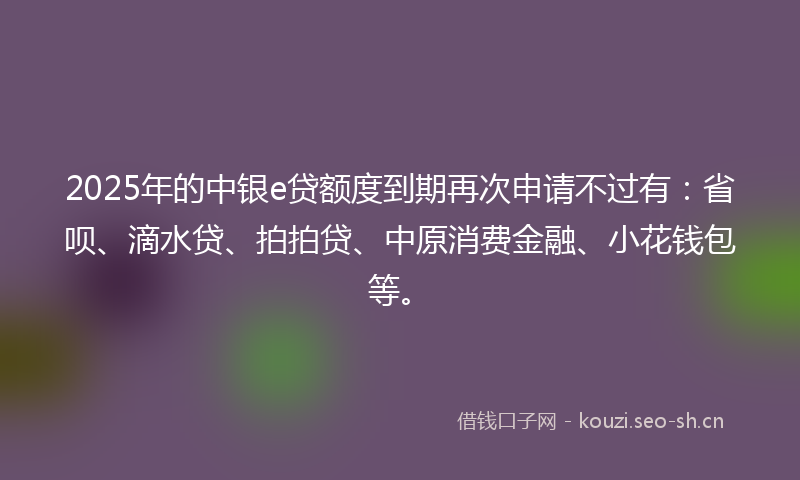 2025年的中银e贷额度到期再次申请不过有：省呗、滴水贷、拍拍贷、中原消费金融、小花钱包等。