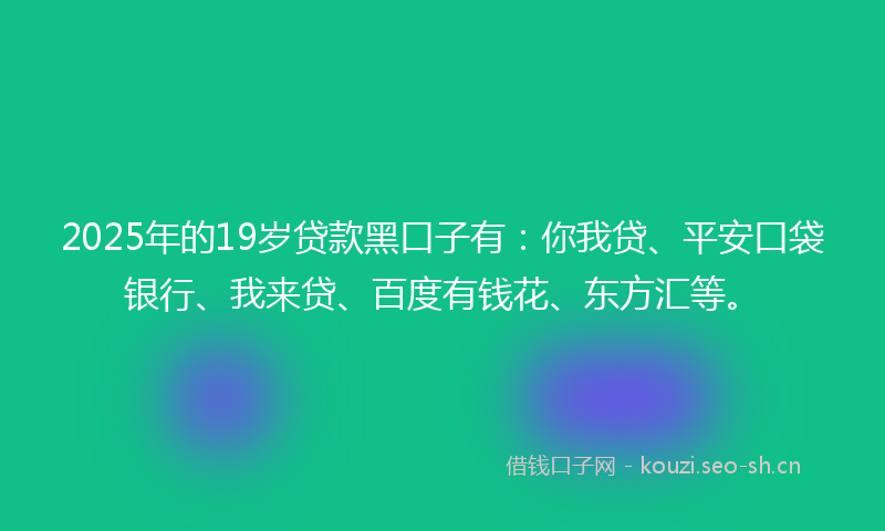 2025年的19岁贷款黑口子有：你我贷、平安口袋银行、我来贷、百度有钱花、东方汇等。