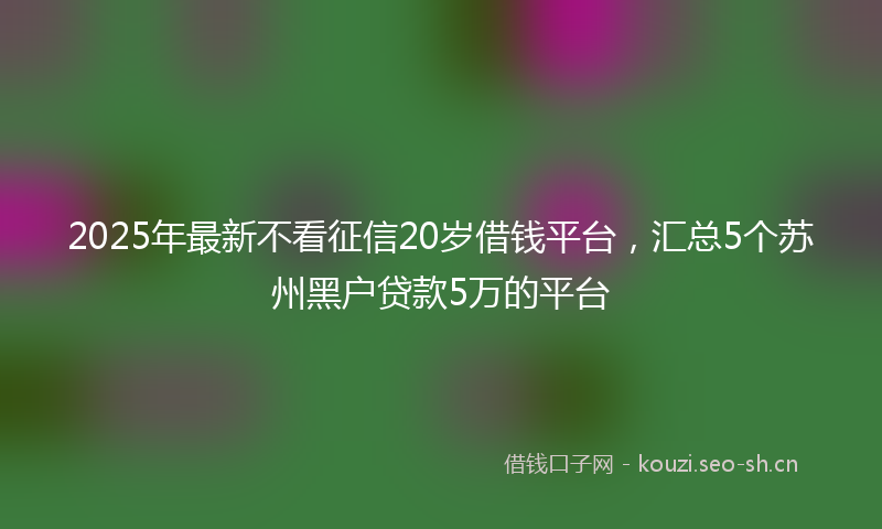 2025年最新不看征信20岁借钱平台，汇总5个苏州黑户贷款5万的平台