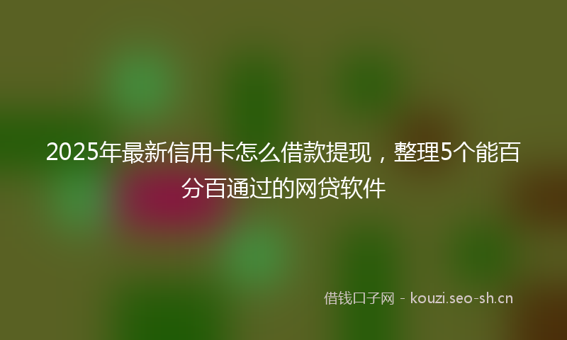 2025年最新信用卡怎么借款提现,整理5个能百分百通过的网贷软件