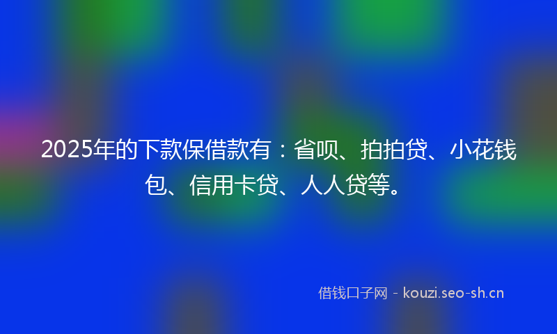 2025年的下款保借款有：省呗、拍拍贷、小花钱包、信用卡贷、人人贷等。