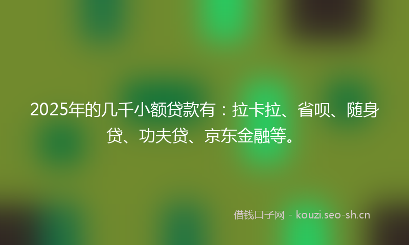 2025年的几千小额贷款有：拉卡拉、省呗、随身贷、功夫贷、京东金融等。