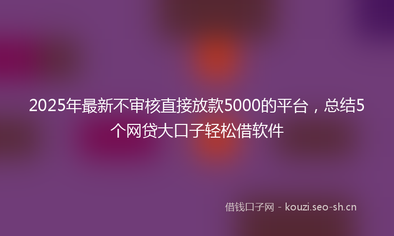 2025年最新不审核直接放款5000的平台，总结5个网贷大口子轻松借软件