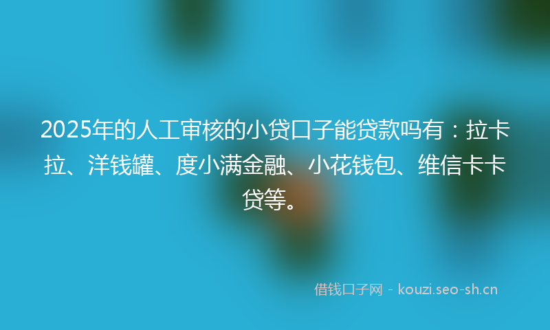 2025年的人工审核的小贷口子能贷款吗有：拉卡拉、洋钱罐、度小满金融、小花钱包、维信卡卡贷等。