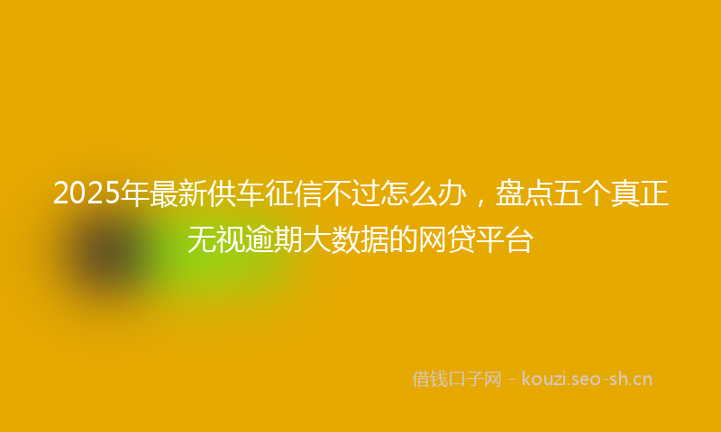 2025年最新供车征信不过怎么办，盘点五个真正无视逾期大数据的网贷平台