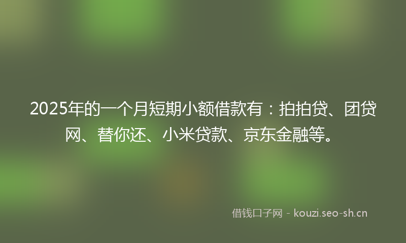 2025年的一个月短期小额借款有：拍拍贷、团贷网、替你还、小米贷款、京东金融等。