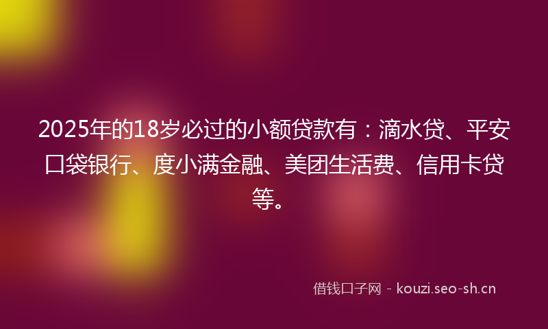 2025年的18岁必过的小额贷款有：滴水贷、平安口袋银行、度小满金融、美团生活费、信用卡贷等。