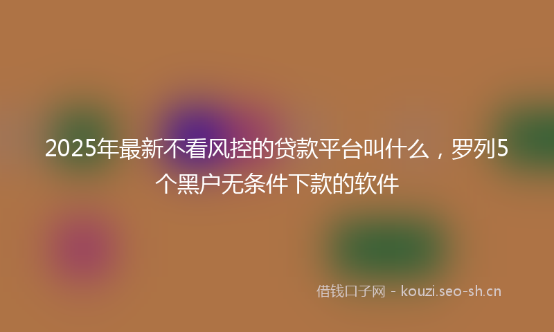 2025年最新不看风控的贷款平台叫什么,罗列5个黑户无条件下款的软件