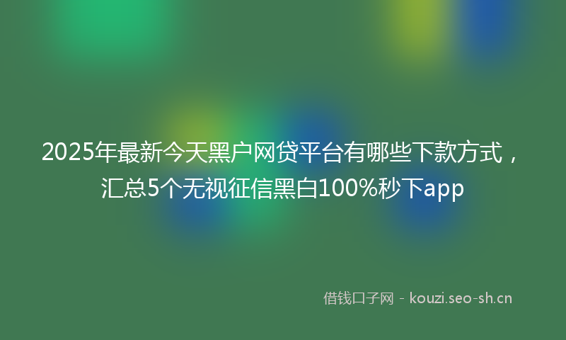 2025年最新今天黑户网贷平台有哪些下款方式，汇总5个无视征信黑白100%秒下app