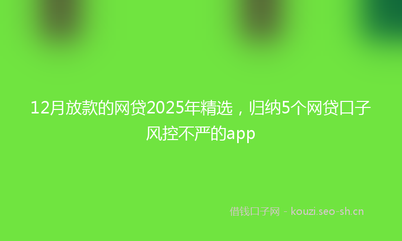 12月放款的网贷2025年精选，归纳5个网贷口子风控不严的app