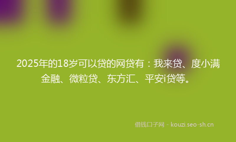 2025年的18岁可以贷的网贷有：我来贷、度小满金融、微粒贷、东方汇、平安i贷等。