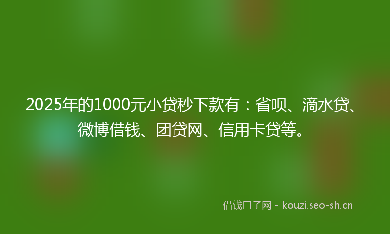 2025年的1000元小贷秒下款有：省呗、滴水贷、微博借钱、团贷网、信用卡贷等。