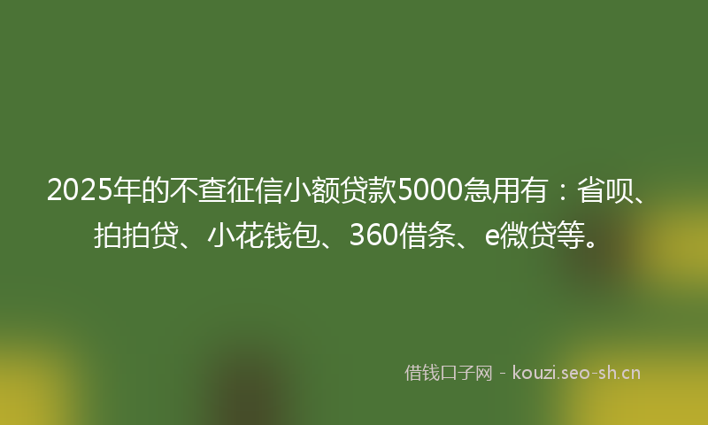 2025年的不查征信小额贷款5000急用有：省呗、拍拍贷、小花钱包、360借条、e微贷等。