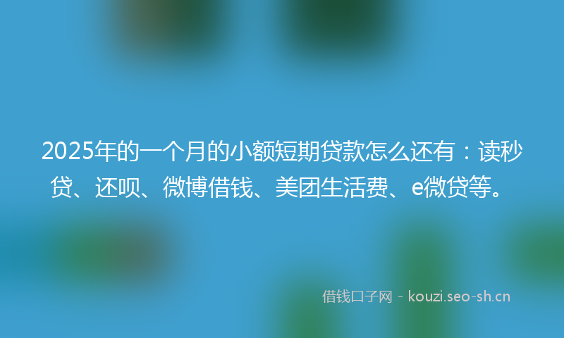 2025年的一个月的小额短期贷款怎么还有：读秒贷、还呗、微博借钱、美团生活费、e微贷等。