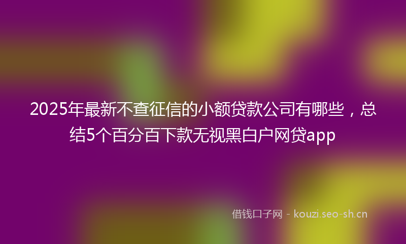 2025年最新不查征信的小额贷款公司有哪些,总结5个百分百下款无视黑白户网贷app