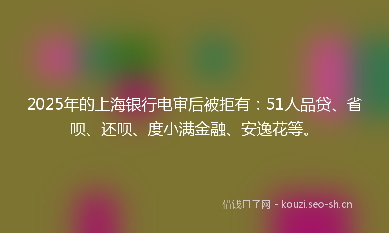 2025年的上海银行电审后被拒有：51人品贷、省呗、还呗、度小满金融、安逸花等。