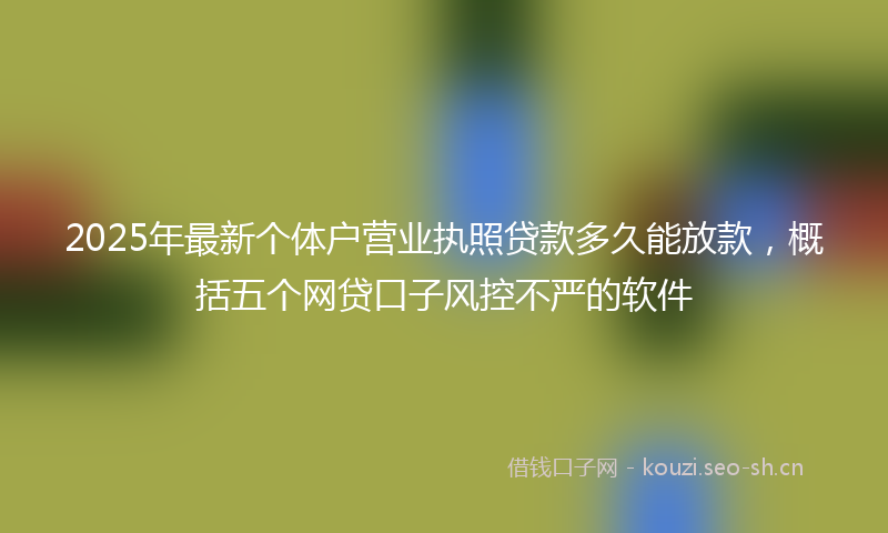 2025年最新个体户营业执照贷款多久能放款，概括五个网贷口子风控不严的软件