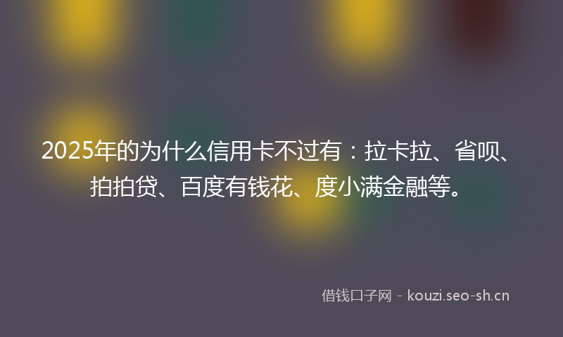 2025年的为什么信用卡不过有：拉卡拉、省呗、拍拍贷、百度有钱花、度小满金融等。
