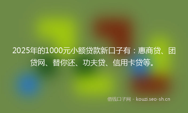 2025年的1000元小额贷款新口子有:惠商贷、团贷网、替你还、功夫贷、信用卡贷等。