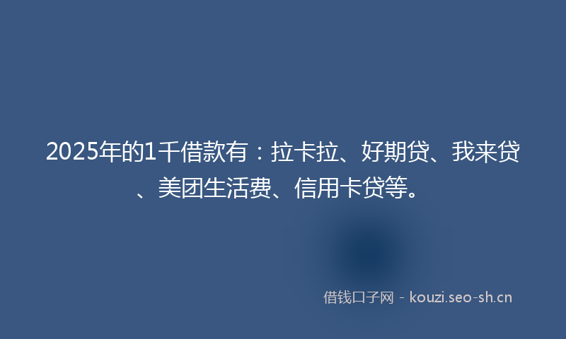 2025年的1千借款有：拉卡拉、好期贷、我来贷、美团生活费、信用卡贷等。