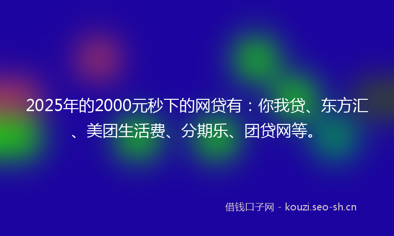 2025年的2000元秒下的网贷有：你我贷、东方汇、美团生活费、分期乐、团贷网等。