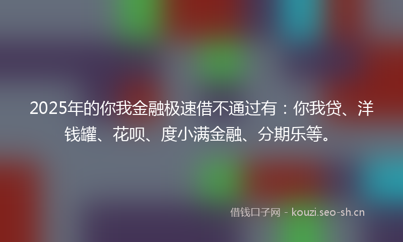 2025年的你我金融极速借不通过有：你我贷、洋钱罐、花呗、度小满金融、分期乐等。