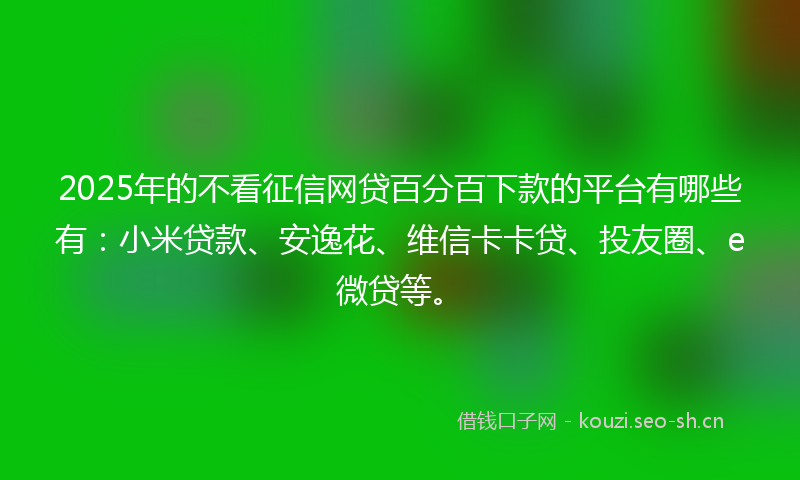 2025年的不看征信网贷百分百下款的平台有哪些有：小米贷款、安逸花、维信卡卡贷、投友圈、e微贷等。