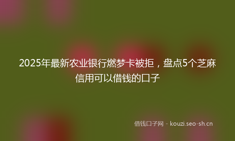 2025年最新农业银行燃梦卡被拒，盘点5个芝麻信用可以借钱的口子