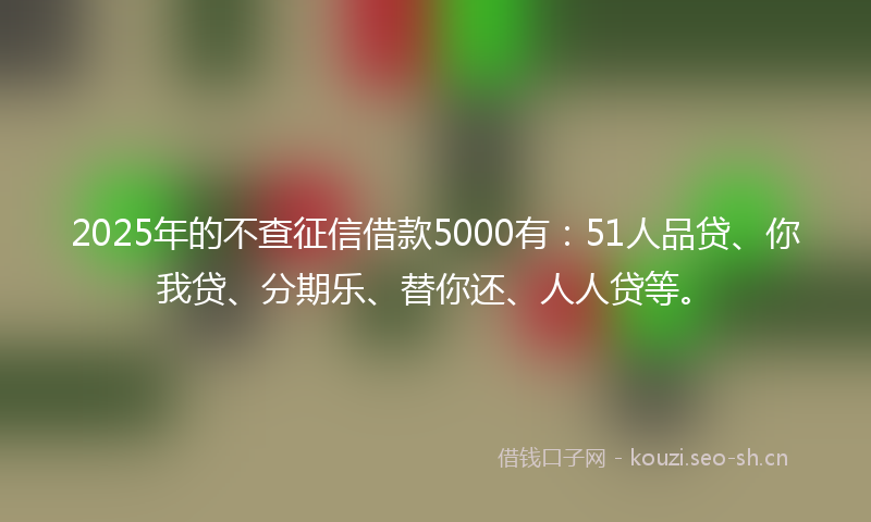 2025年的不查征信借款5000有：51人品贷、你我贷、分期乐、替你还、人人贷等。