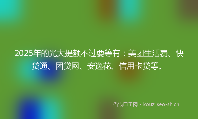2025年的光大提额不过要等有：美团生活费、快贷通、团贷网、安逸花、信用卡贷等。