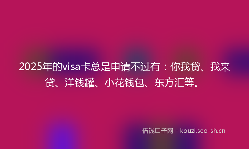 2025年的visa卡总是申请不过有：你我贷、我来贷、洋钱罐、小花钱包、东方汇等。