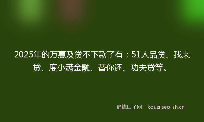 2025年的万惠及贷不下款了有：51人品贷、我来贷、度小满金融、替你还、功夫贷等。