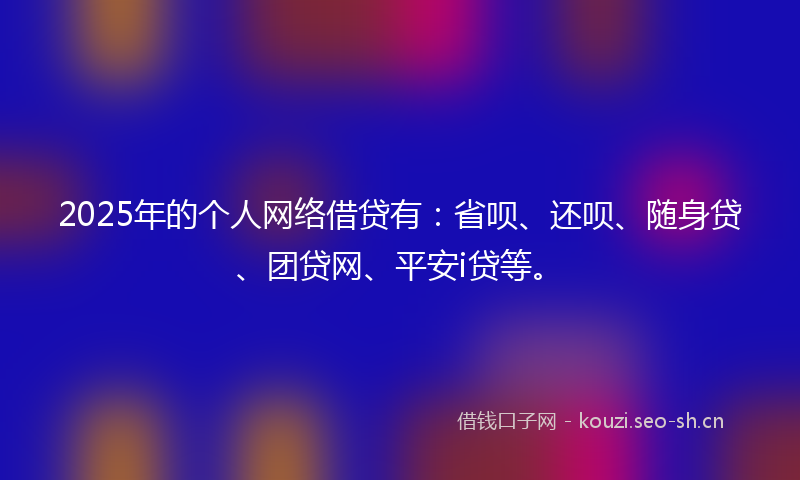 2025年的个人网络借贷有：省呗、还呗、随身贷、团贷网、平安i贷等。