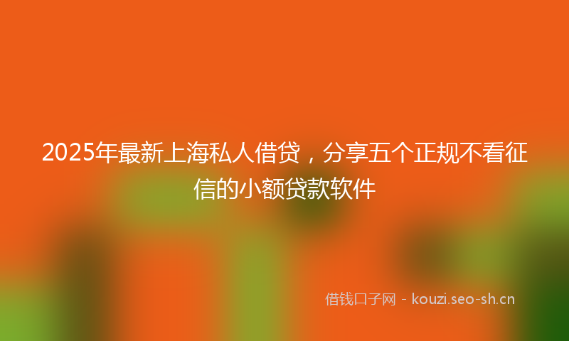 2025年最新上海私人借贷,分享五个正规不看征信的小额贷款软件