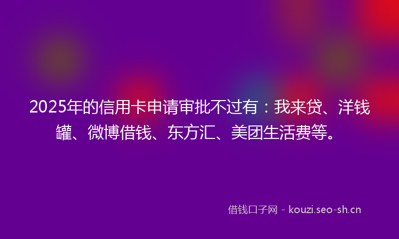 2025年的信用卡申请审批不过有：我来贷、洋钱罐、微博借钱、东方汇、美团生活费等。