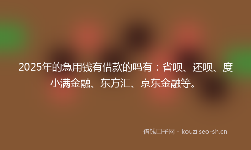 2025年的急用钱有借款的吗有：省呗、还呗、度小满金融、东方汇、京东金融等。