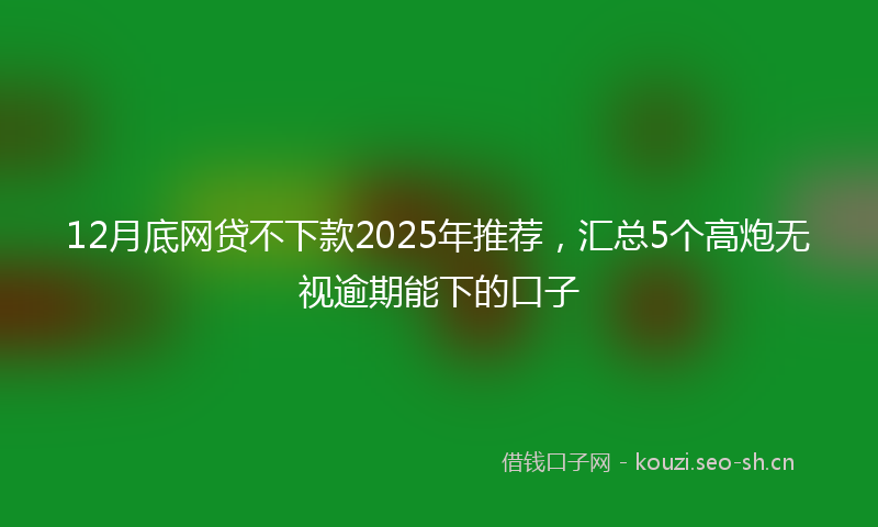 12月底网贷不下款2025年推荐，汇总5个高炮无视逾期能下的口子