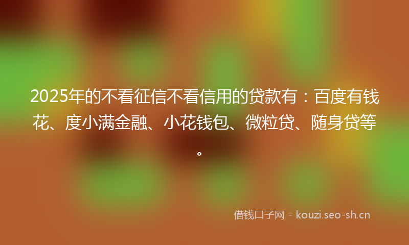 2025年的不看征信不看信用的贷款有：百度有钱花、度小满金融、小花钱包、微粒贷、随身贷等。