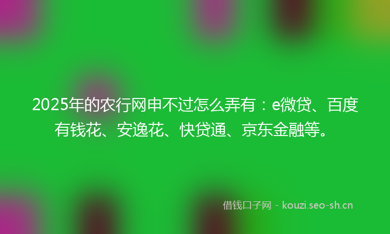 2025年的农行网申不过怎么弄有：e微贷、百度有钱花、安逸花、快贷通、京东金融等。