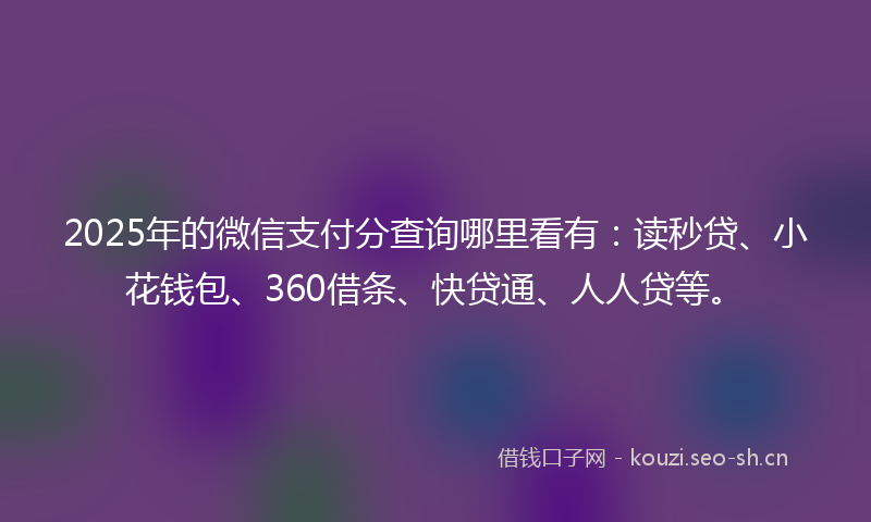 2025年的微信支付分查询哪里看有：读秒贷、小花钱包、360借条、快贷通、人人贷等。