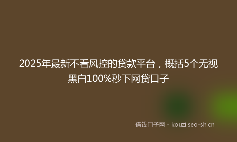 2025年最新不看风控的贷款平台，概括5个无视黑白100%秒下网贷口子