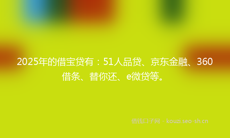 2025年的借宝贷有：51人品贷、京东金融、360借条、替你还、e微贷等。