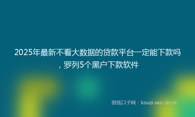 2025年最新不看大数据的贷款平台一定能下款吗，罗列5个黑户下款软件