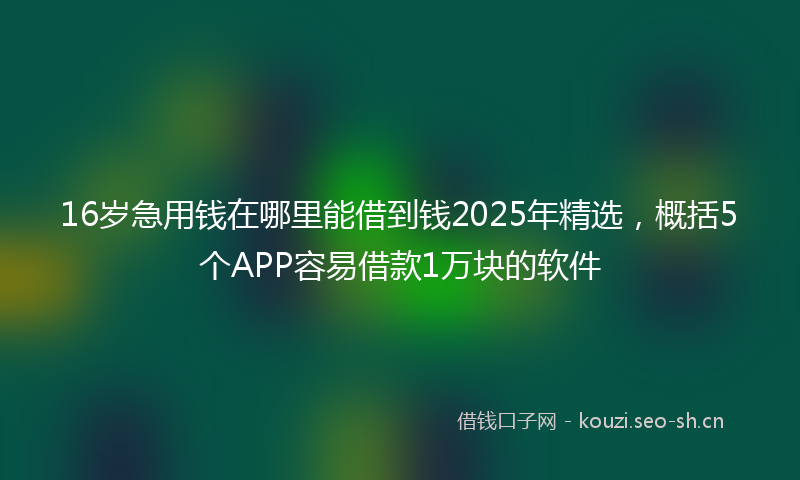 16岁急用钱在哪里能借到钱2025年精选,概括5个APP容易借款1万块的软件