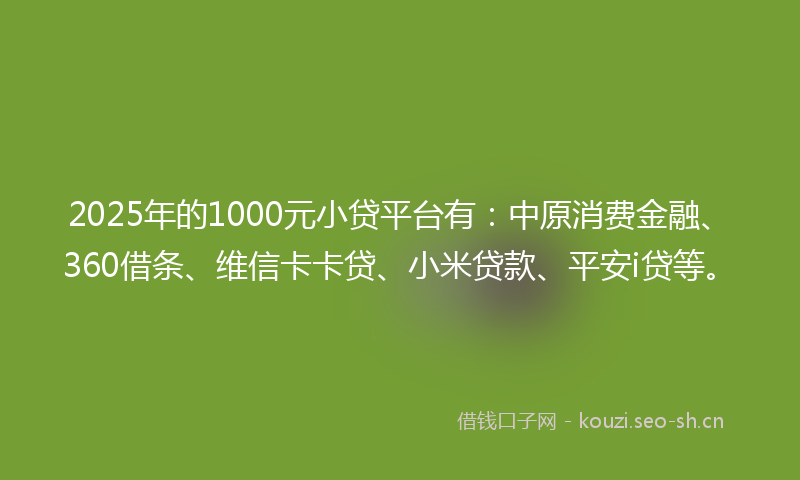 2025年的1000元小贷平台有：中原消费金融、360借条、维信卡卡贷、小米贷款、平安i贷等。