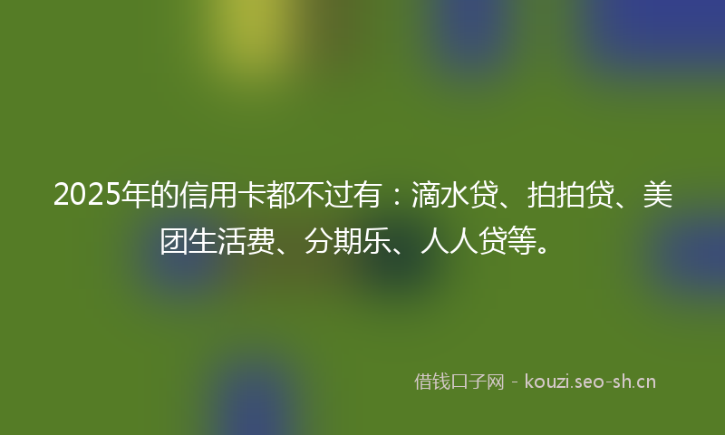 2025年的信用卡都不过有：滴水贷、拍拍贷、美团生活费、分期乐、人人贷等。