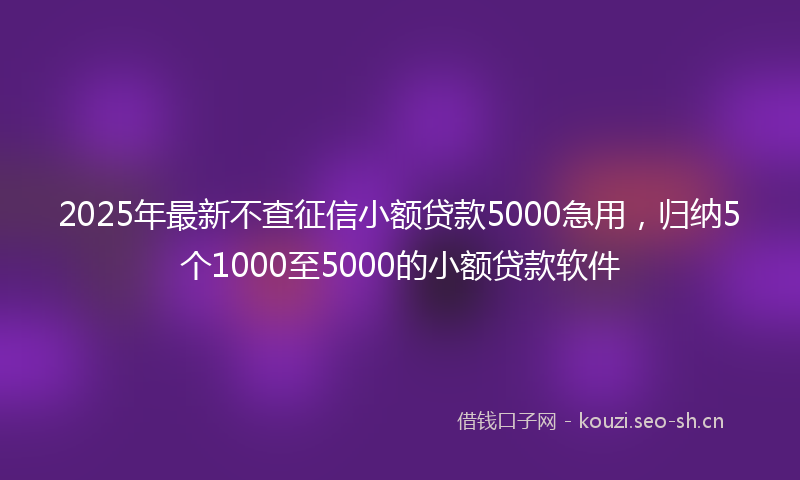 2025年最新不查征信小额贷款5000急用，归纳5个1000至5000的小额贷款软件
