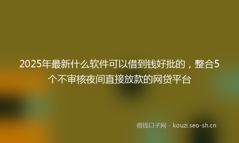 2025年最新什么软件可以借到钱好批的，整合5个不审核夜间直接放款的网贷平台